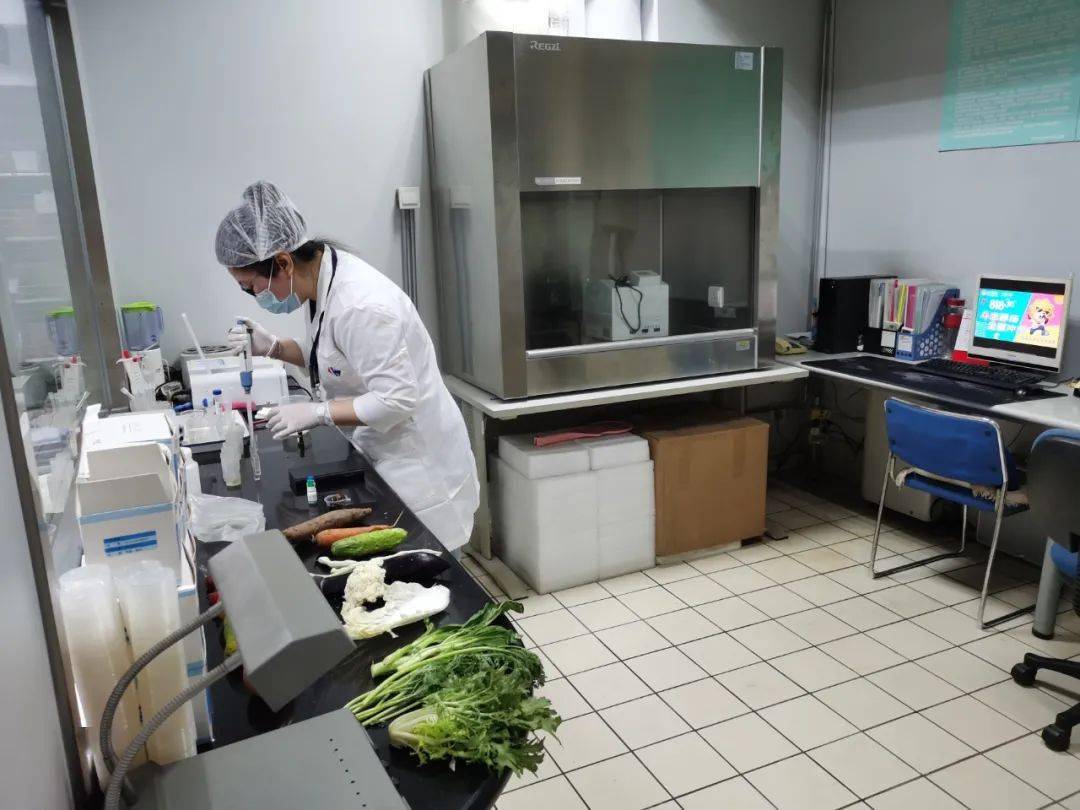 霍山食品检测实验室装修方案